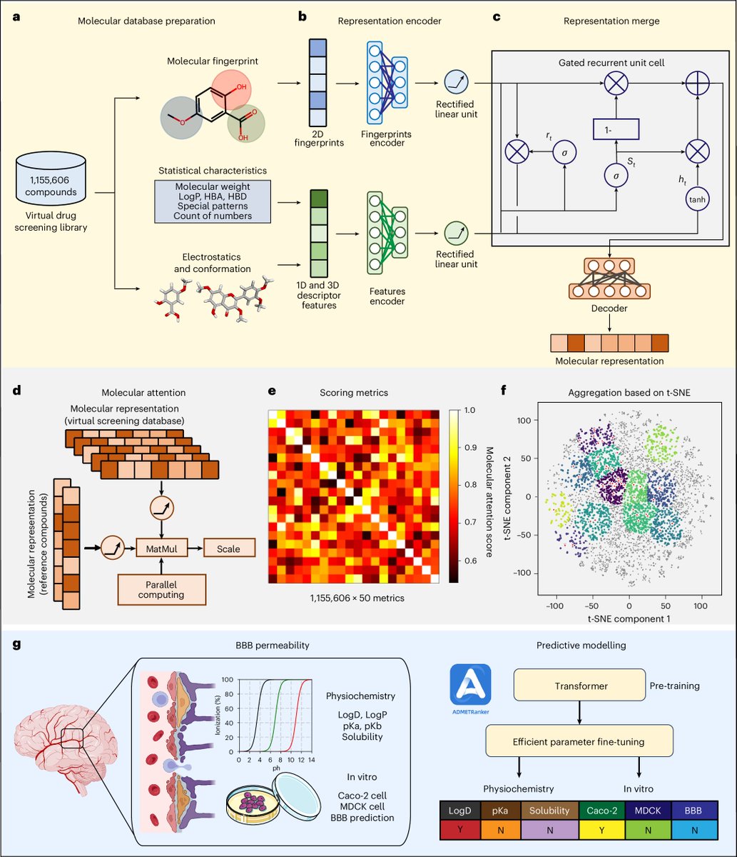 ScienceofPD's tweet image. Researchers present "DeepDrugDiscovery"- a mechanism-aware, #AI-powered screening platform incorporating ADMET &amp;amp; blood–brain barrier penetrability predictions; It identified novel, mTOR-independent autophagy enhancers that clear #Alzheimers-assoc pathology
nature.com/articles/s4155…