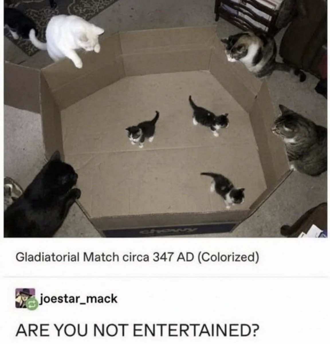 Antidepressant Content tweet media