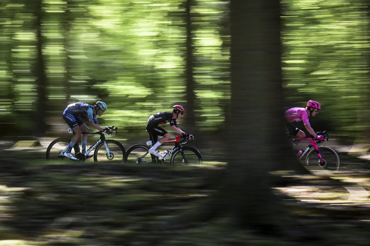 LiegeBastogneL's tweet photo. 🌲🌲🌲 https://t.co/88VXbQFID5