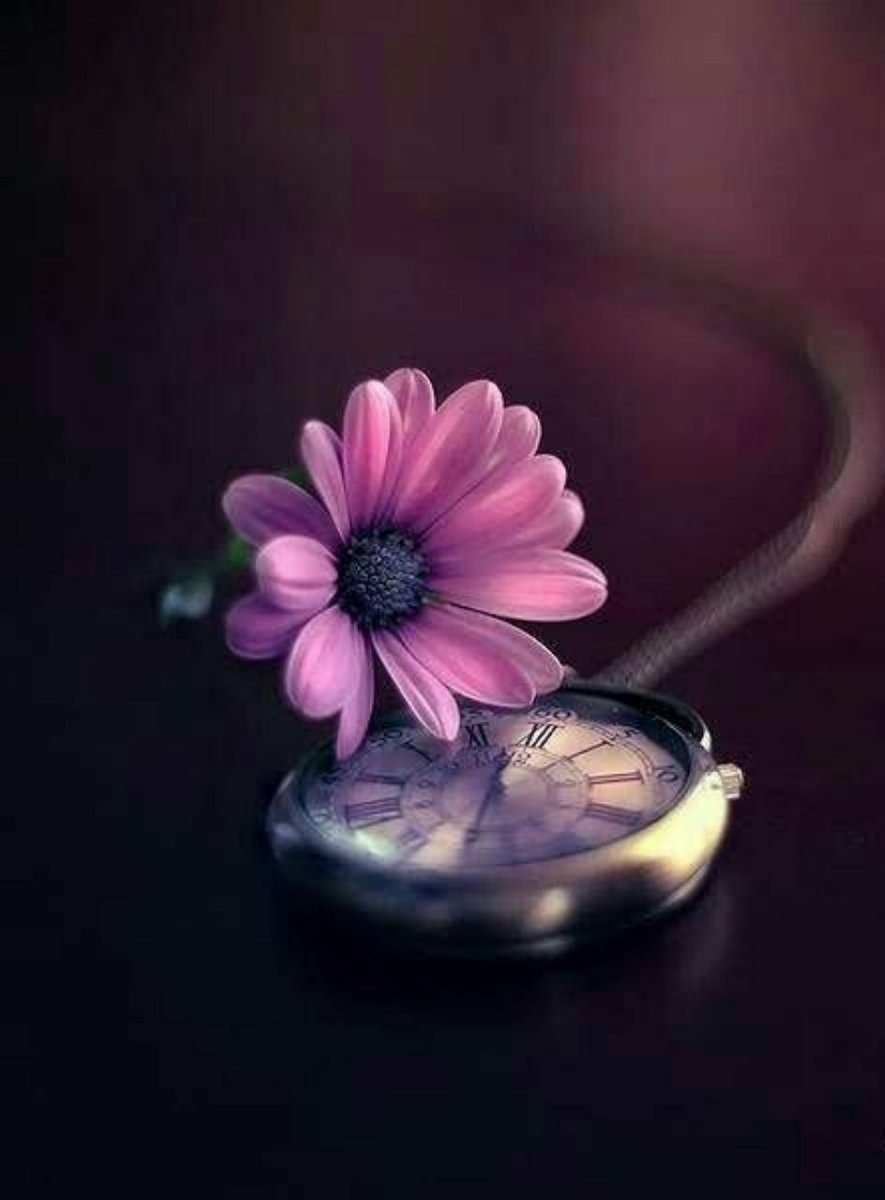 ريـ❥ـمـا tweet media