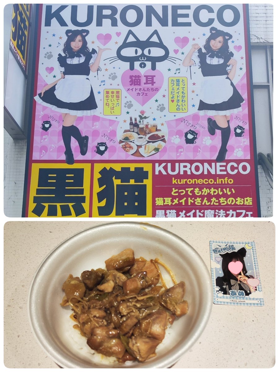 ぱんふもと5.1-7札幌、16-17中野 tweet media