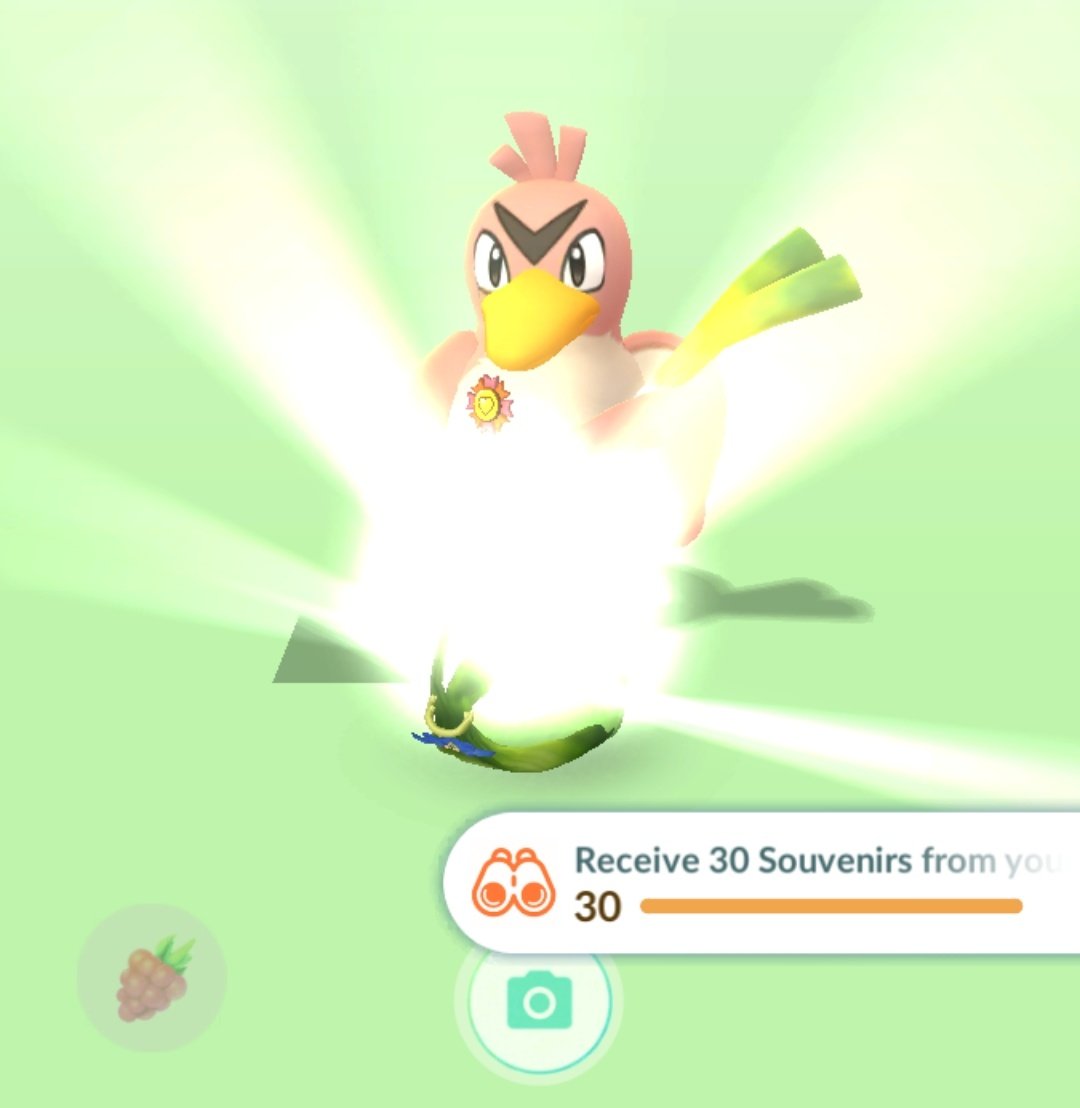 ⋆｡𖦹 ƙҽҽƙʂ 𖦹｡⋆ tweet media