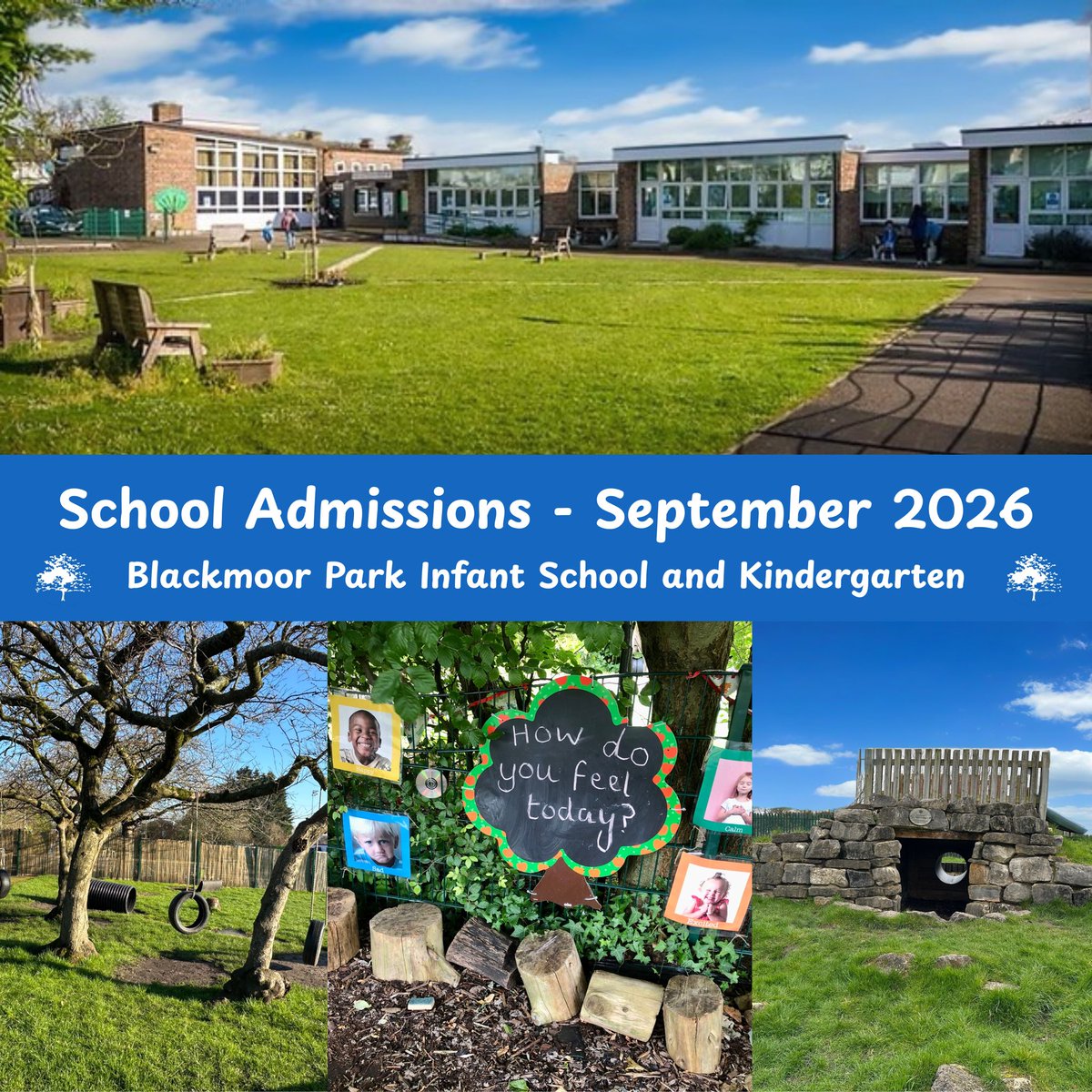 Blackmoor Park Infant School & Kindergarten tweet media