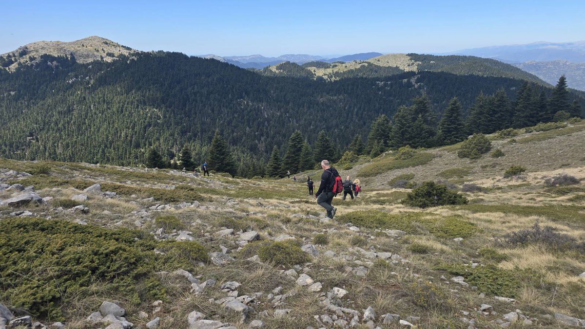 FitimGllareva's tweet photo. Just conquered another beautiful mountain today!
Breathtaking views, crisp air and my legs are reminding me I earned every step.
That feeling of standing on top with the world spread out below you just can't be beaten..
#Mainalo
#Hiking https://t.co/Fq7oJP4BEv