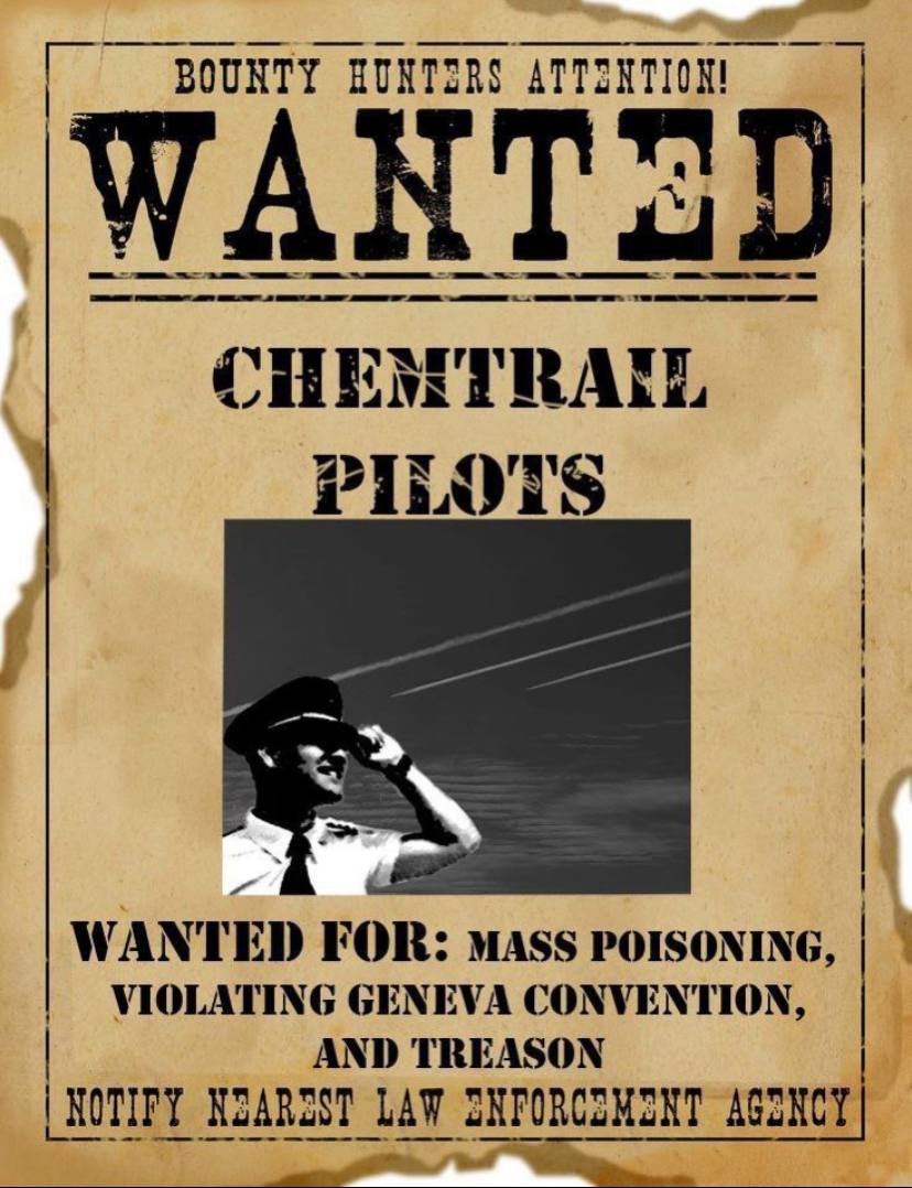 Around Town Memes tweet media