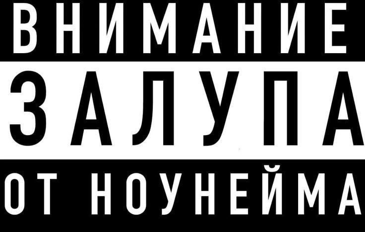 🖇️ tweet media