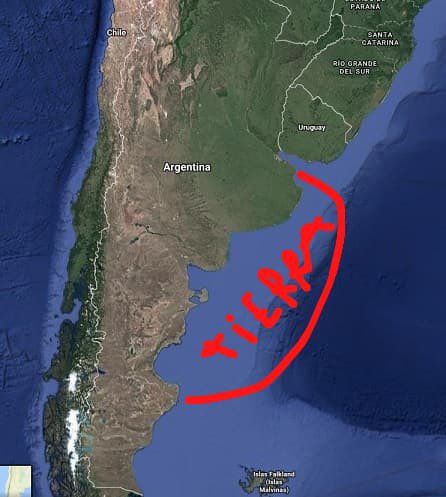 Marcela Quintero tweet media