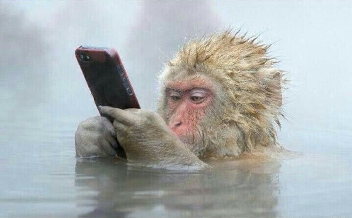 Neye 💞 tweet media