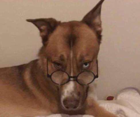 LEO-MBS🇸🇦 tweet media