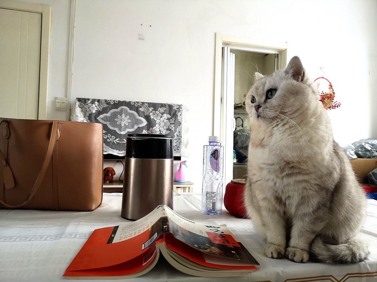 Oskar Remiszke tweet media