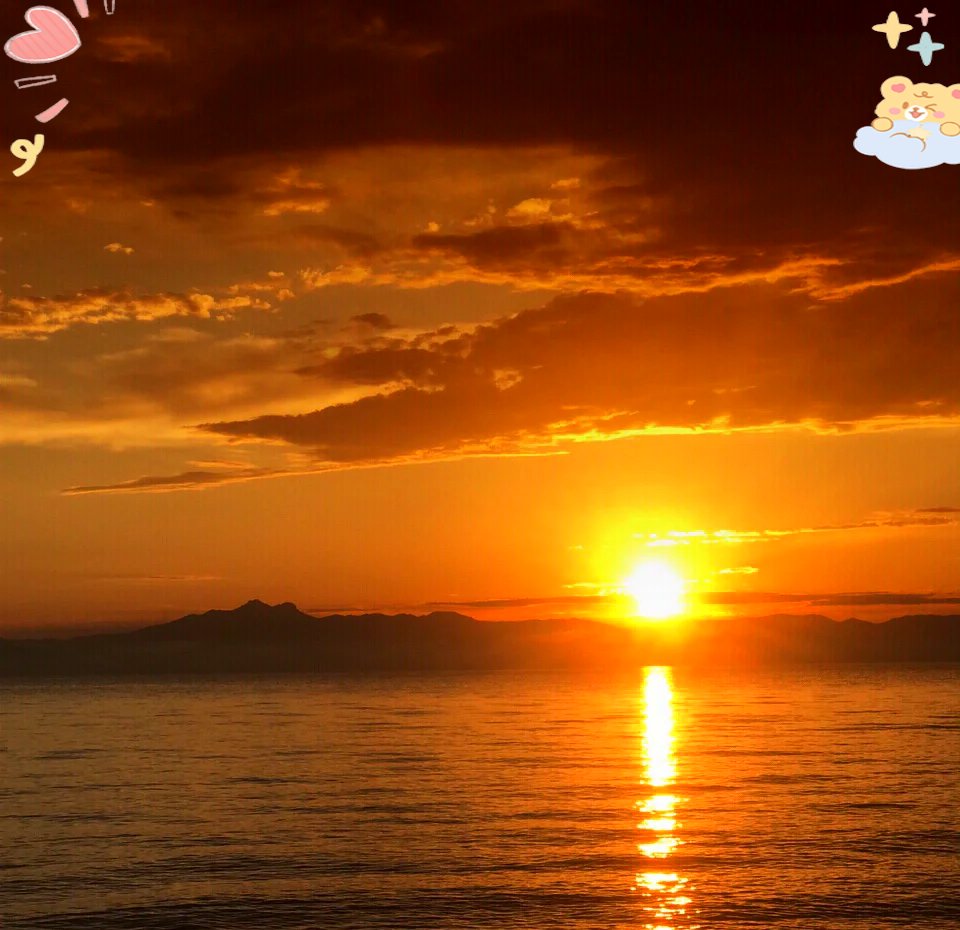 Betiana Basualdo tweet media