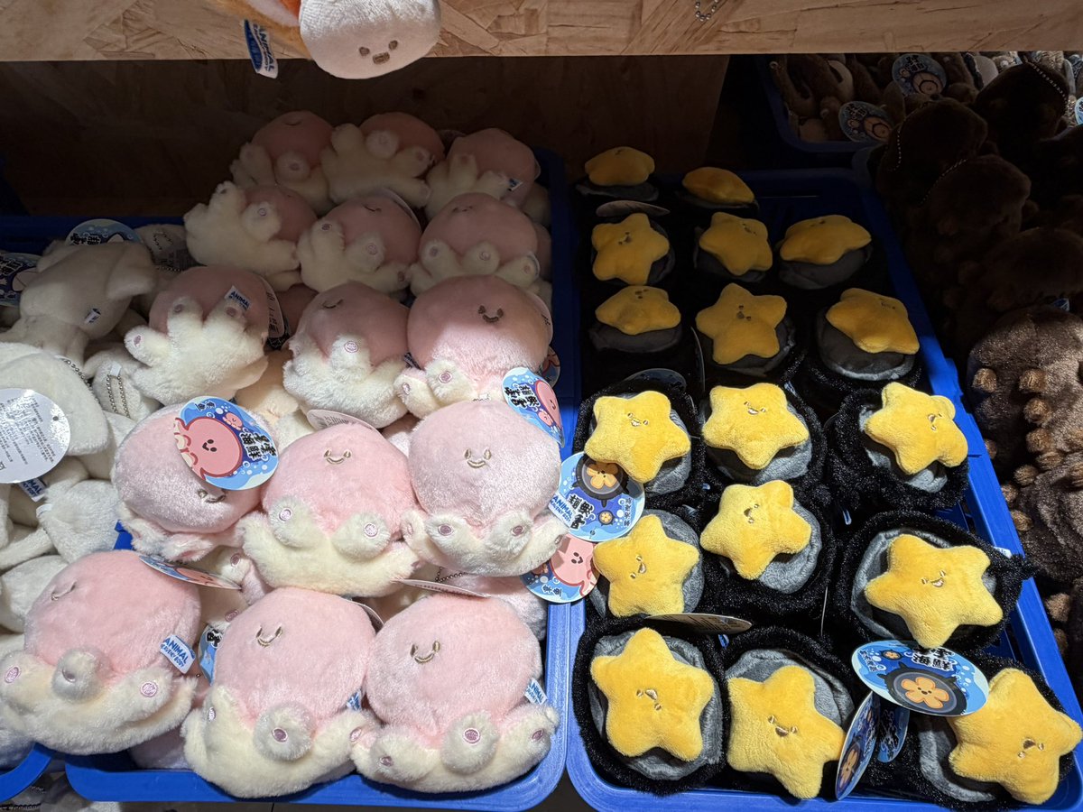 ꜰᴜᴍɪɴ ⁺◦ tweet media