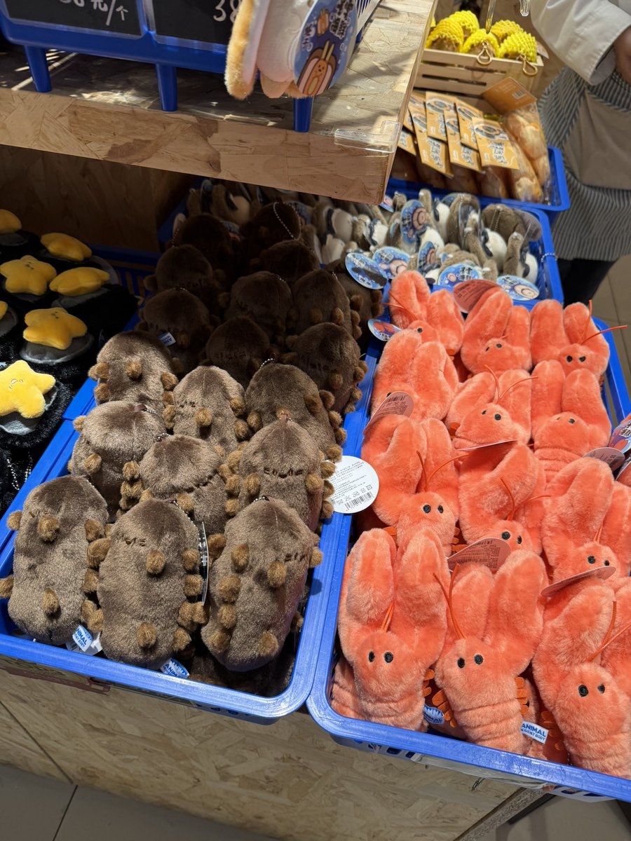 ꜰᴜᴍɪɴ ⁺◦ tweet media