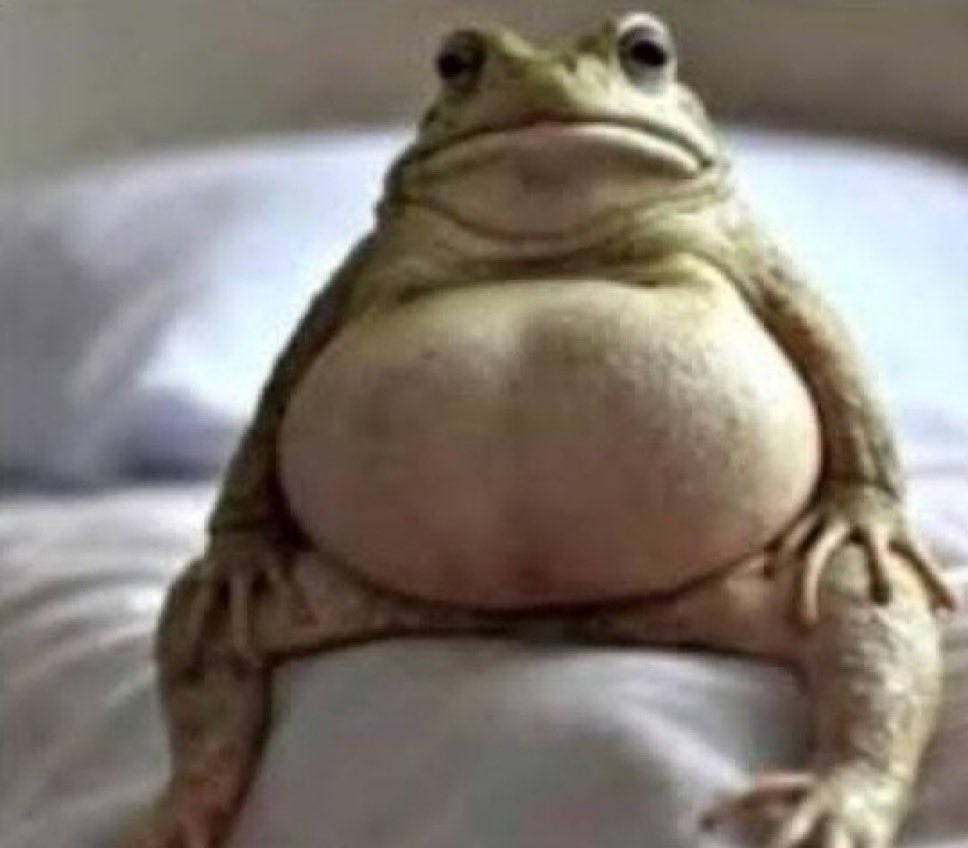 Olerato🦁 ™️ tweet media