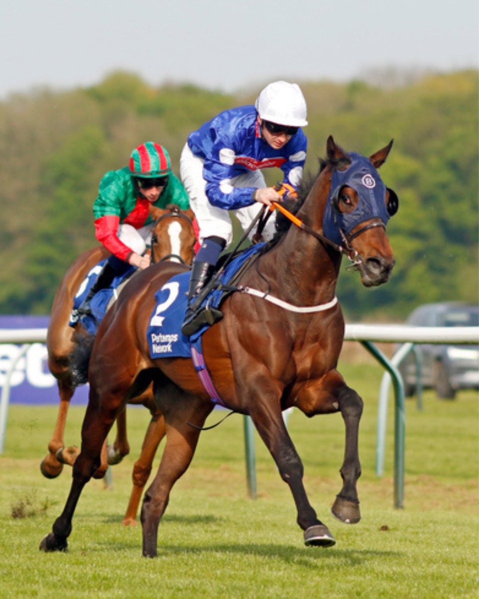 Edward Bethell Racing tweet media