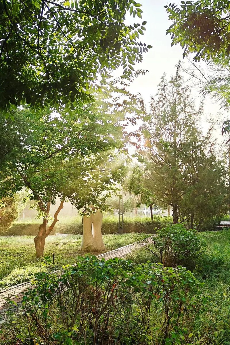 dasdrertt tweet media