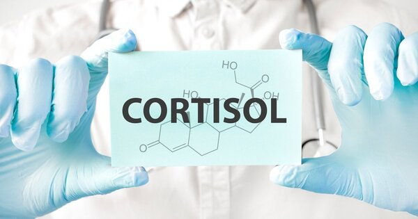 ahoranoticiamx's tweet image. 🔴#AHORA | Mitos y realidades del cortisol, hormona indispensable para la vida y una buena salud: IMSS.

#Noticias #AhoraNoticias

Nota aquí: ⬇️
ahoranoticias.com.mx/nacional/mitos…