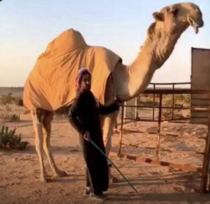 عاشق الوضحا .. al Bader 🅱️ tweet media