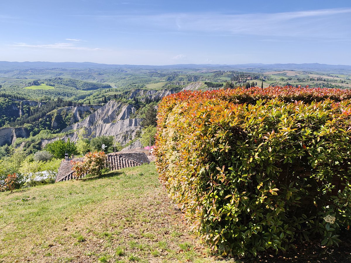 Pgattino's tweet image. Sagra del Carciofo a #Chiusure in #Valdorcia.