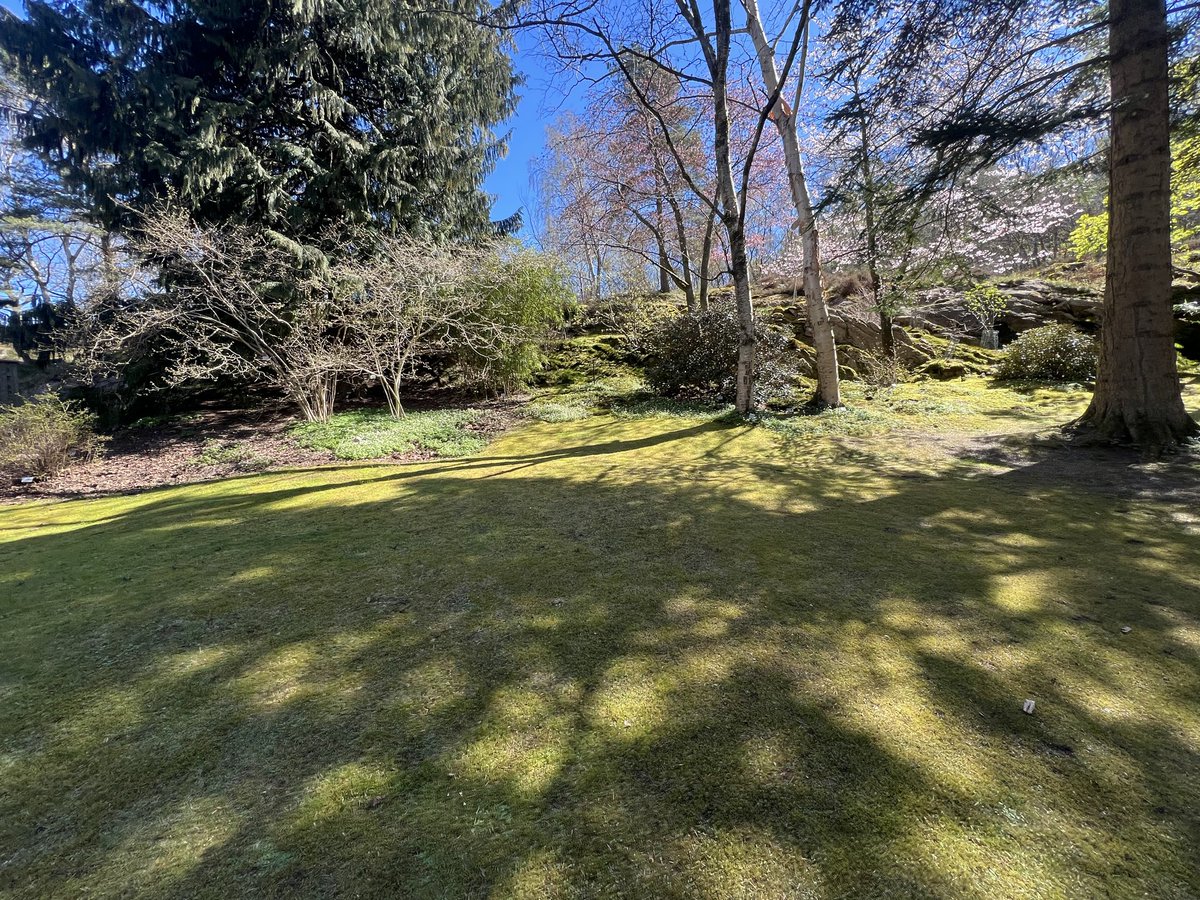 Emano Holdric 🐍🇸🇪 Lamia Chef Vtuber tweet media