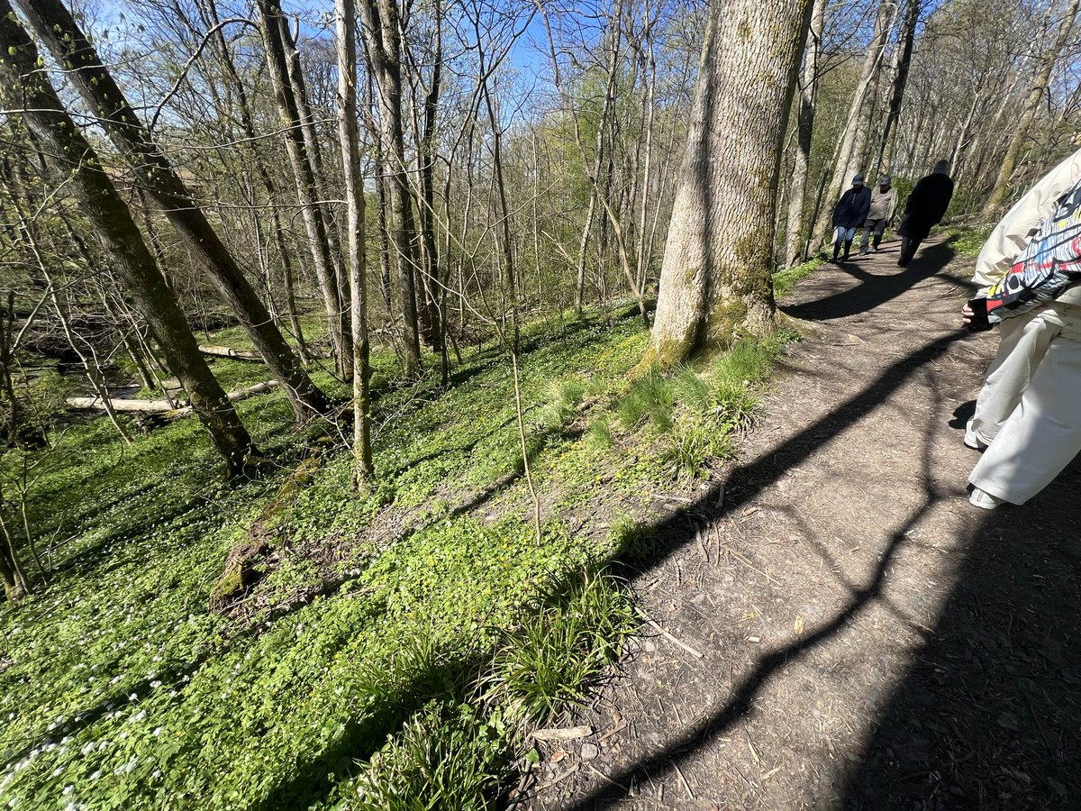 Emano Holdric 🐍🇸🇪 Lamia Chef Vtuber tweet media