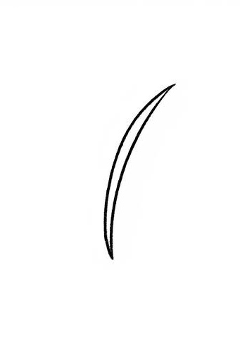 Carol smith tweet media