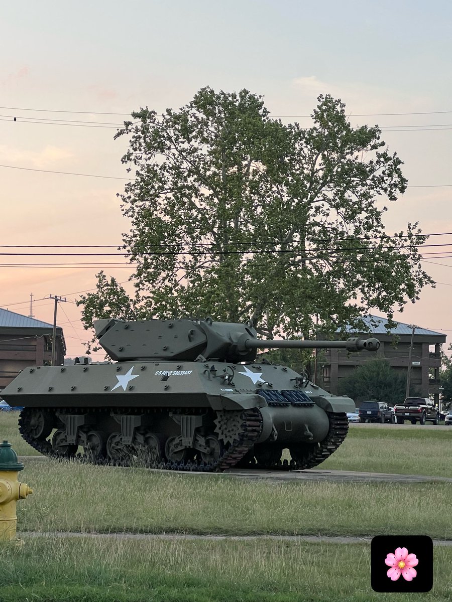HolyMolySakura's tweet image. Happy Spring or Summer☕️🍓💚
A few days ago, I went out to take photos of foxes and wildflowers. (wonderlands)
I asked the Big Brothers, 😆
Can I try riding that yellow tank just once? Haha,” but they said it was too dangerous. 😆🐾🙌💚  only green tanks hahaha 
It already feels