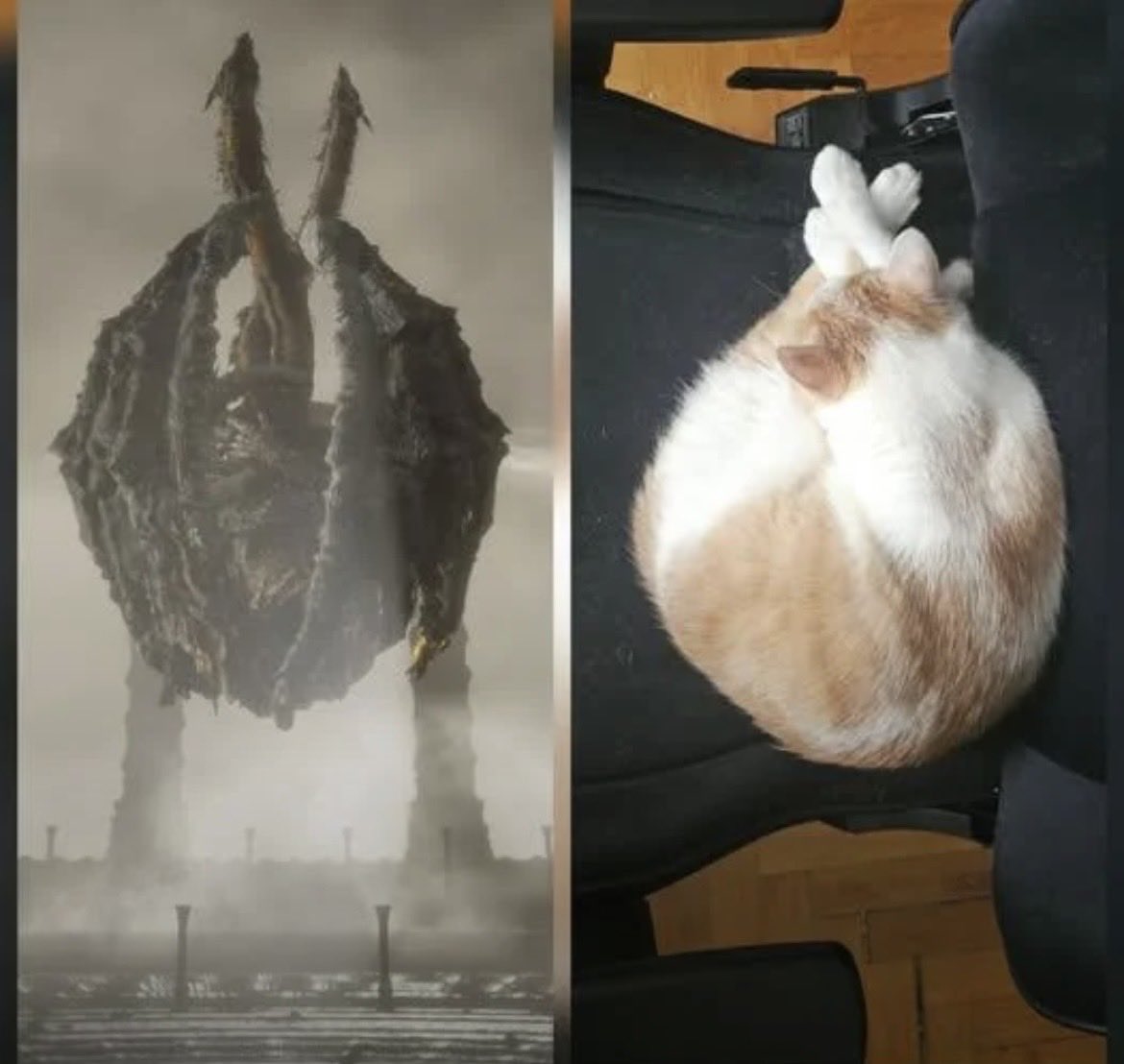 Bell Bearing Hunter tweet media