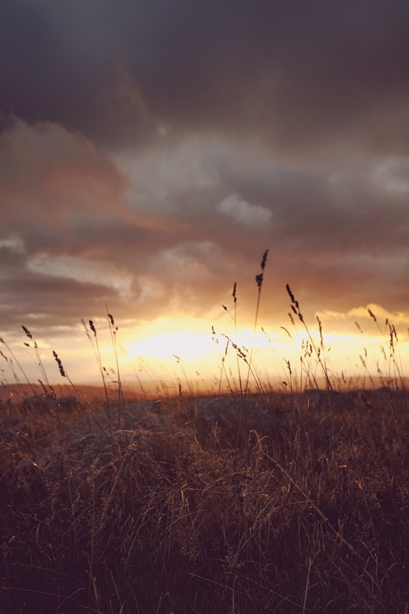 mikeahrens_'s tweet photo. Horizont und Sonnenuntergang
#sunset #horizont https://t.co/5Z1zMIw6PZ