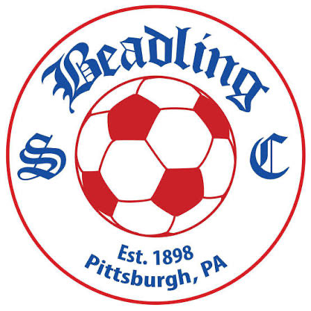 Beadling 2011 GA tweet media