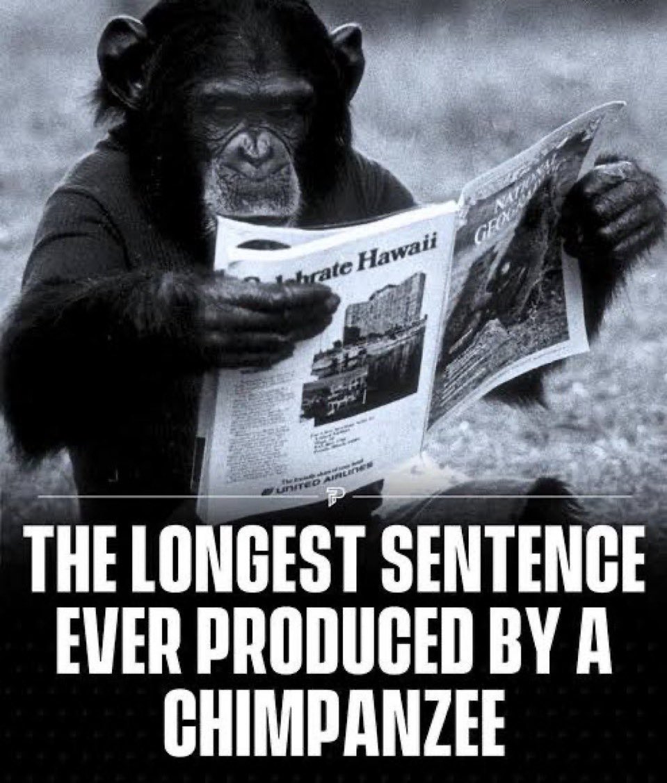 Jer Van Cypher tweet media