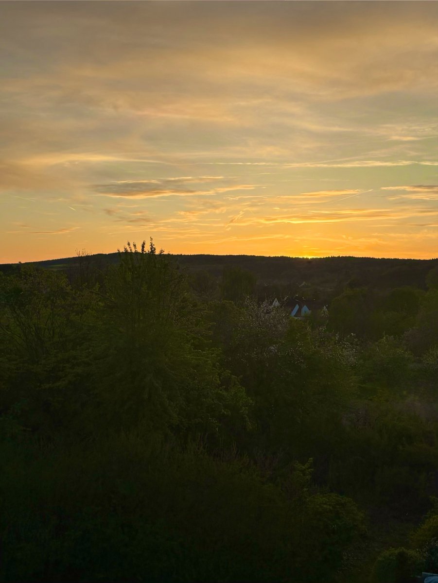 Nemophilist✨🌿🌲 tweet media