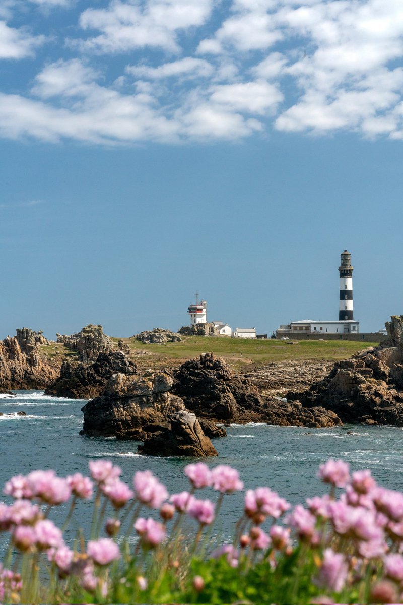 Breizhhollgaret tweet media