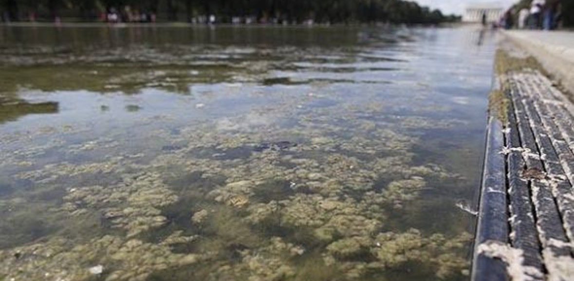 bsiets93 tweet media