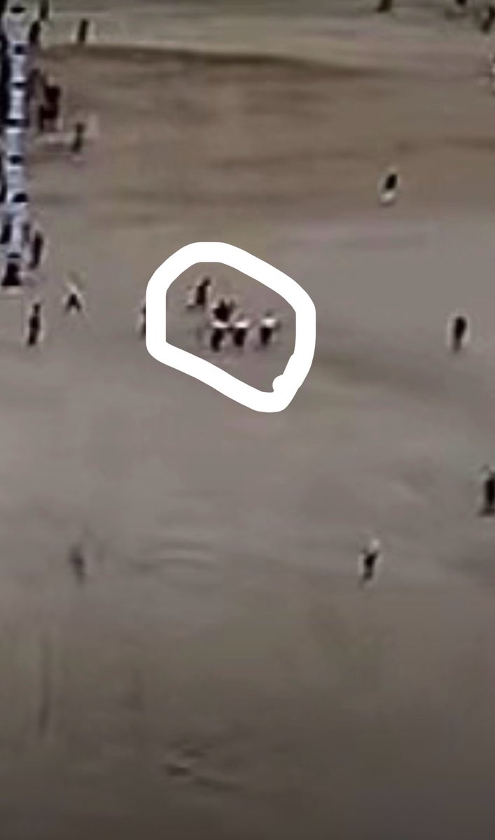 عبدالمحسن tweet media