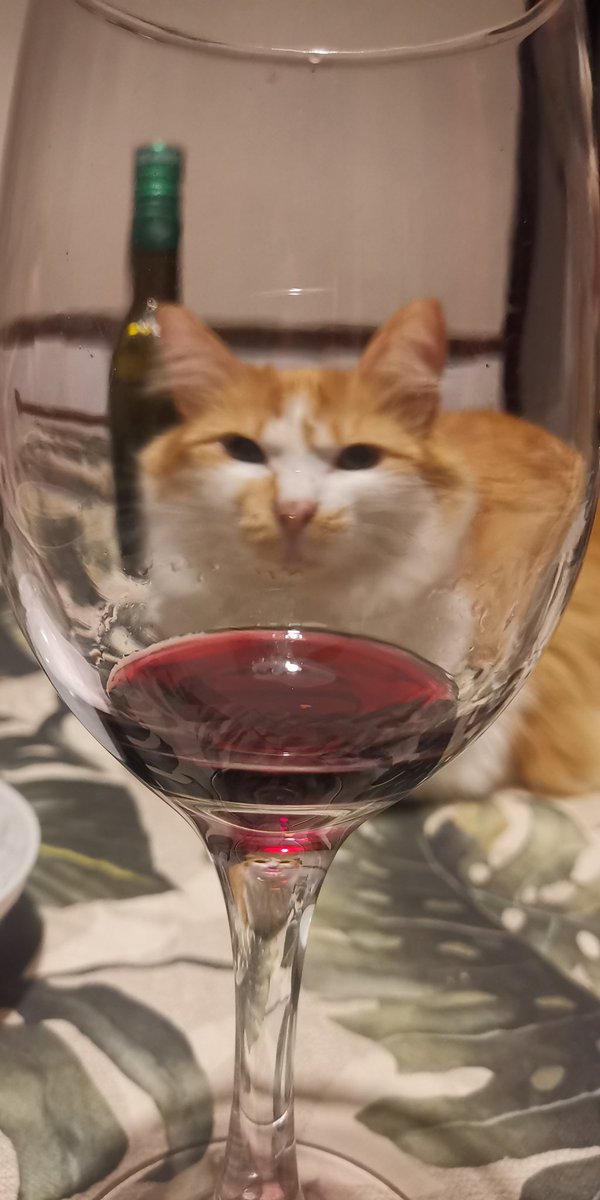 Cara caramba cara cara ô tweet media