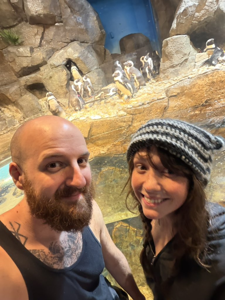 TECTONE 🇺🇸 tweet media