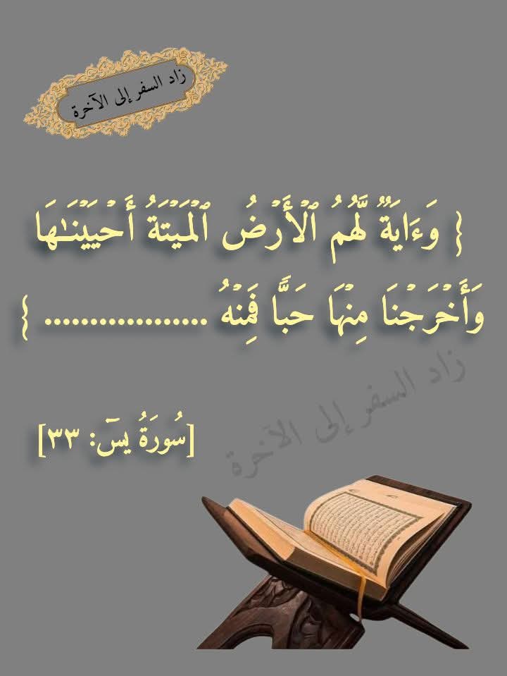 مشعل الغريِّبْ tweet media