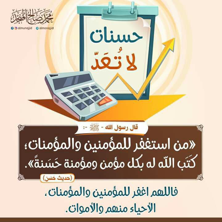 🌷توليب tweet media