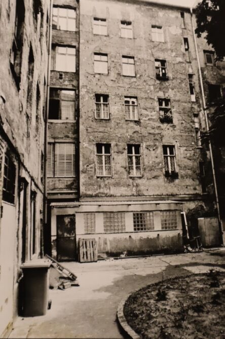 Tim Gräfe tweet media