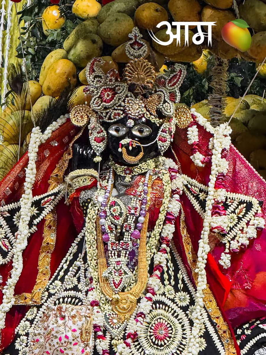 Radhika Ras 🪷 tweet media