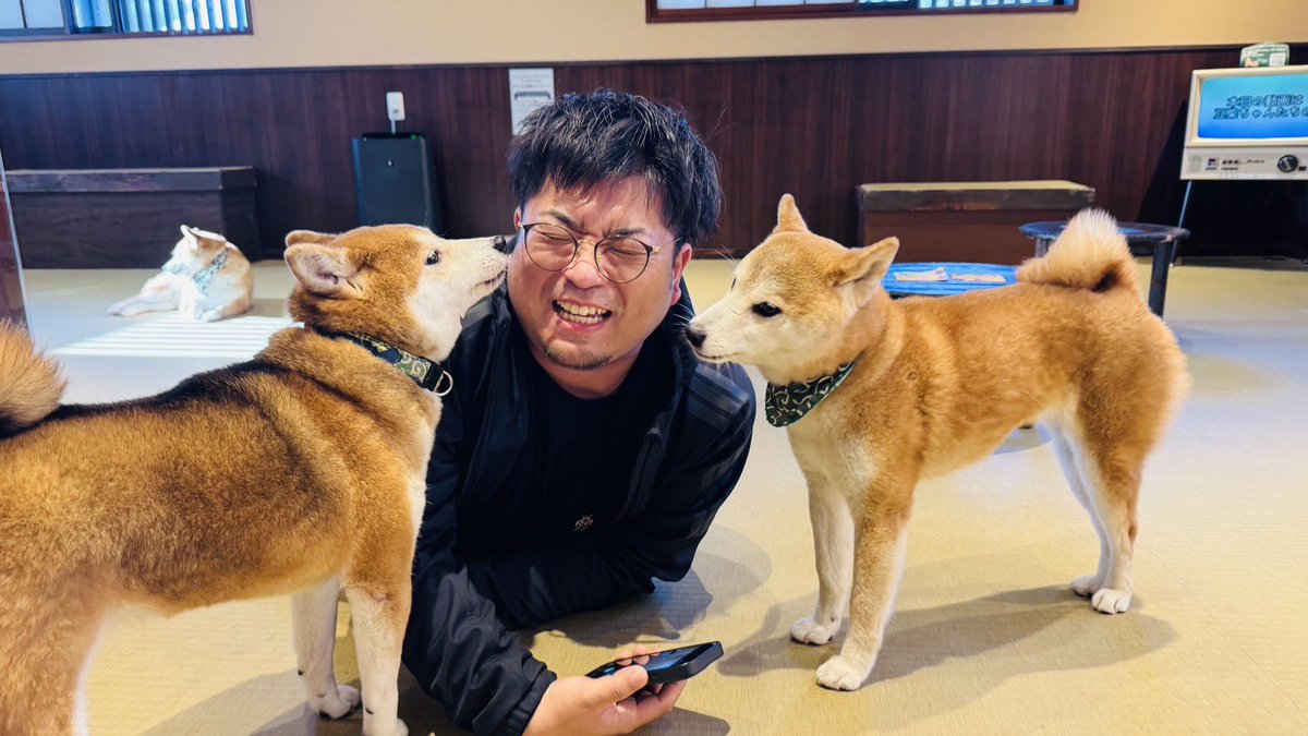 貧乏中年TV 【公式】🦍 tweet media