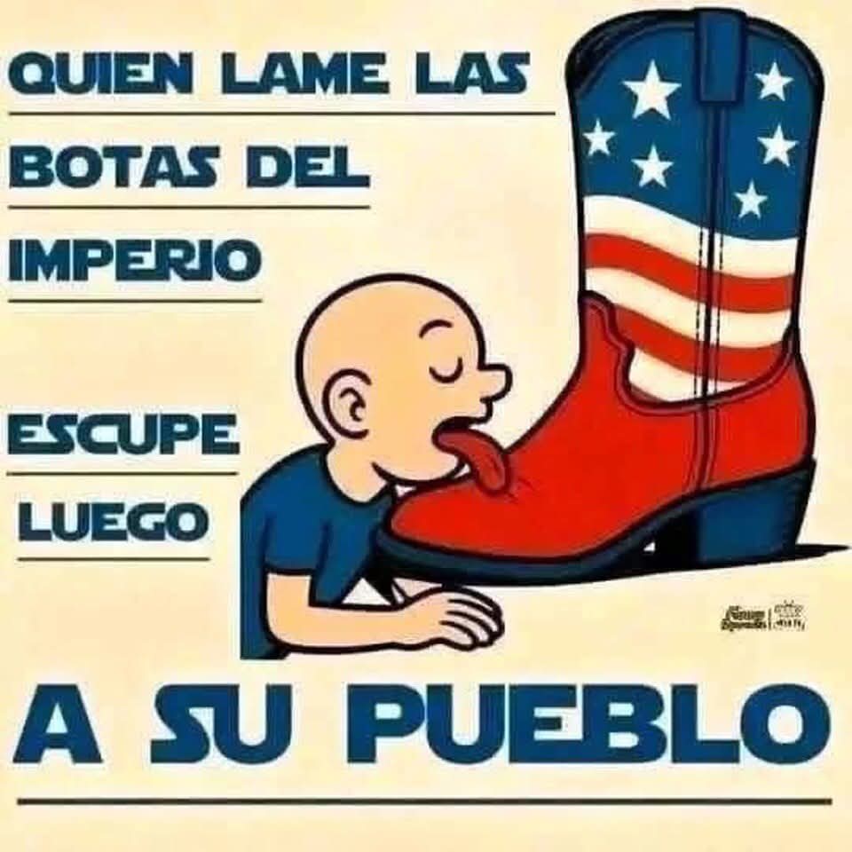 Don Omar Fierro . tweet media