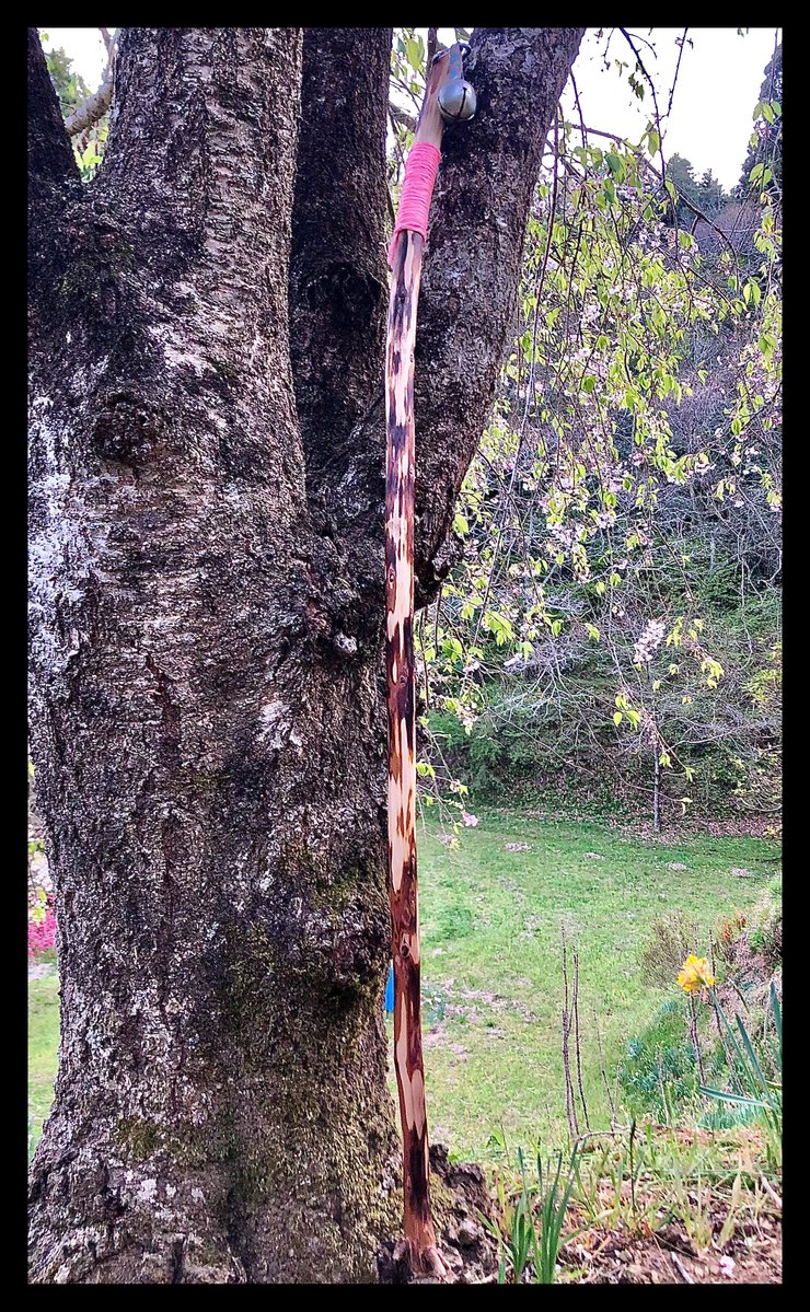 ばふぁりん tweet media