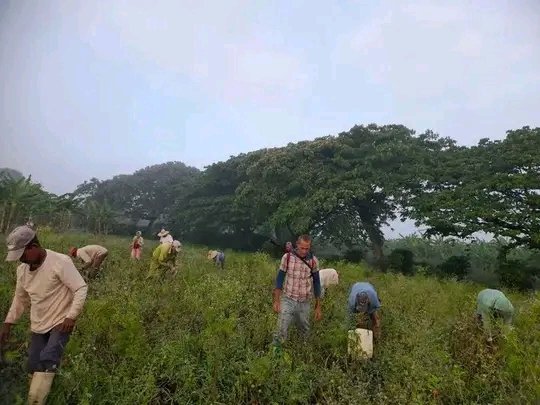 #CTCGRANMA <a href="/JoseAPerezP/">Jose Antonio Pérez Pérez</a> <a href="/GalanCuba/">Eddie Galán Jiménez Cuba</a> Para los que aún se muestran escépticos ,creanlo esto #ProvinciaGranma en revolución obrera #LaPatriaseDefiende