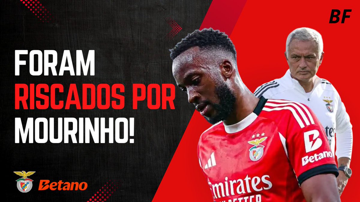 Bruno Francisco tweet media