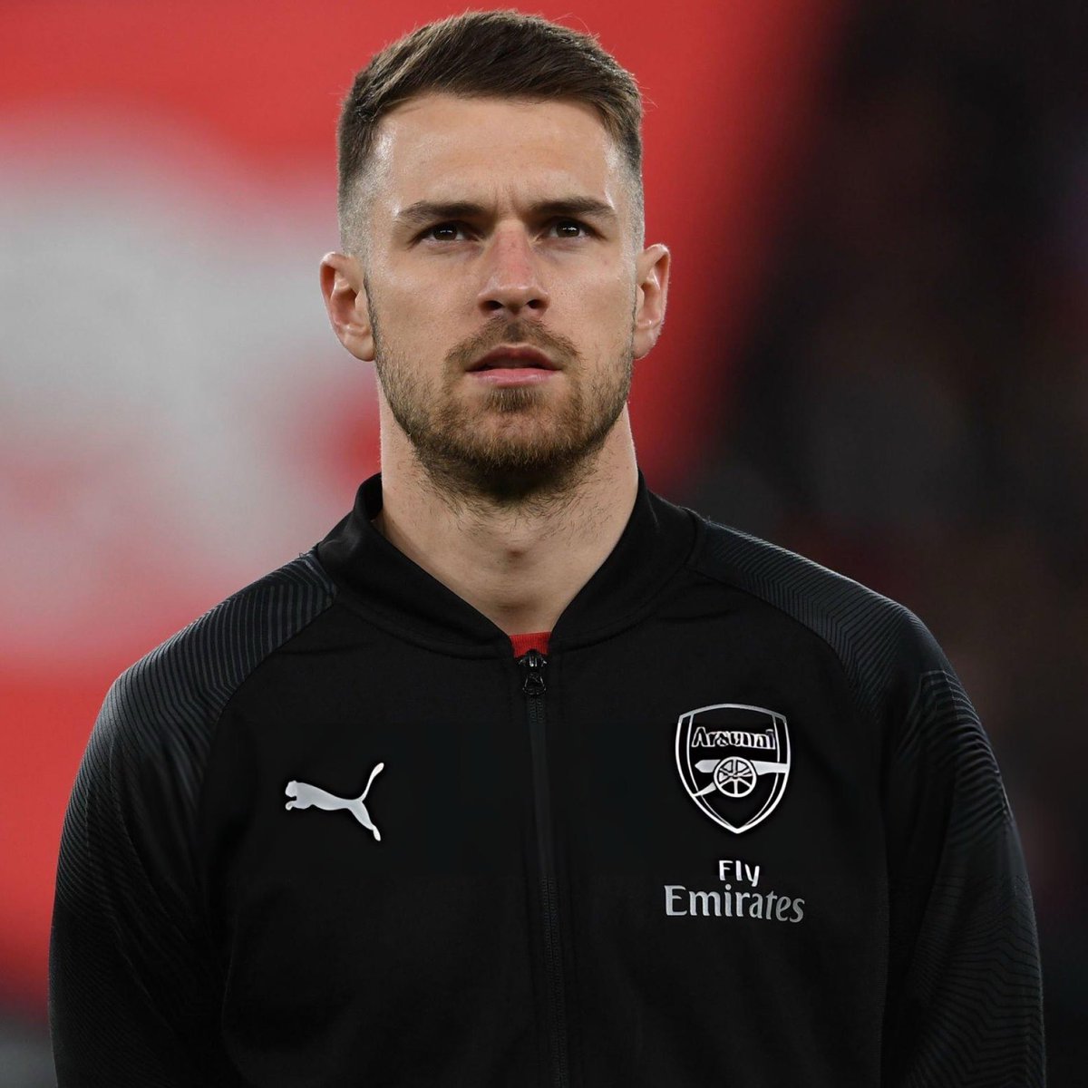 DailyAFC tweet media