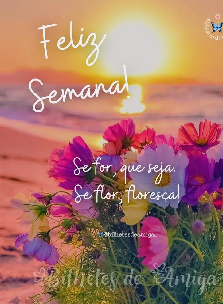 Patricia 🌸🌸🌸 tweet media