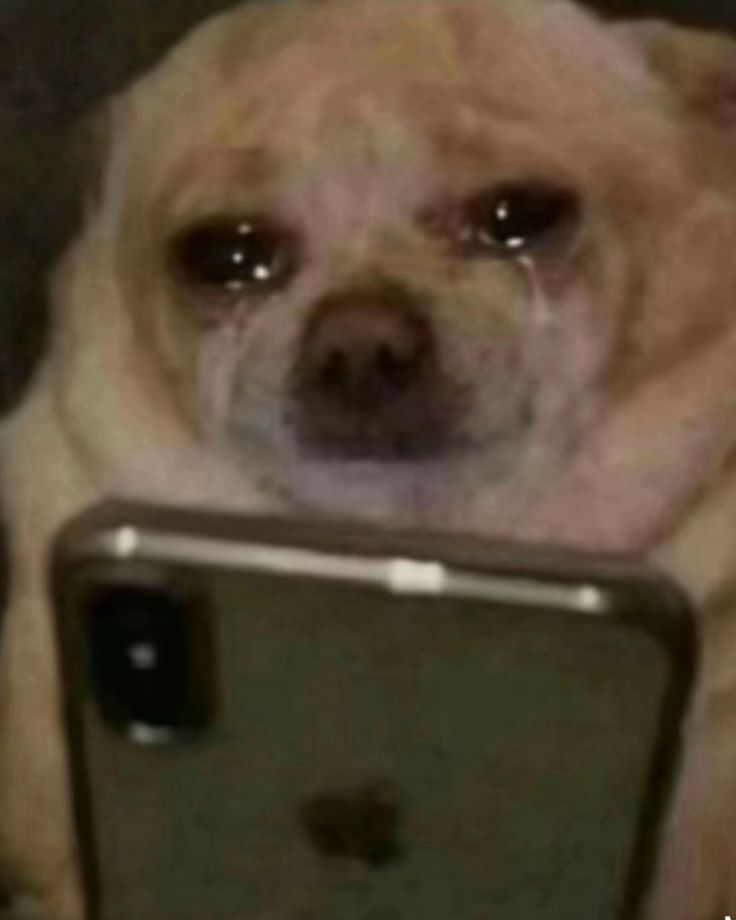 Liam James tweet media