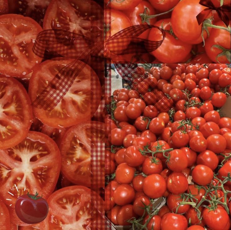 Lovino Vargas of eviltwt🍕 tweet media